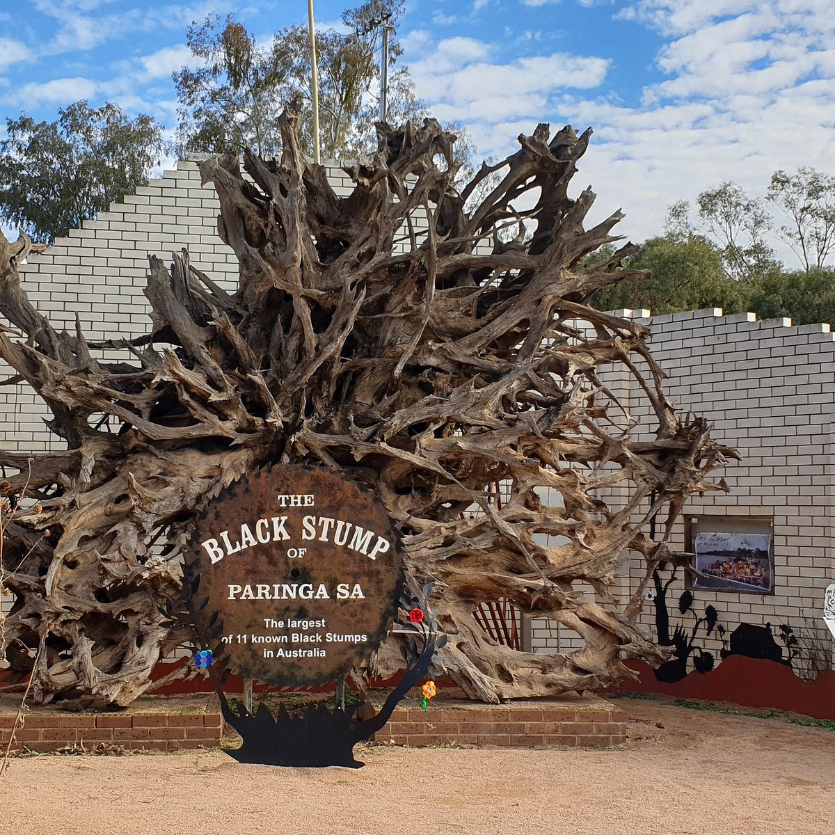 The Black Stump Paringa All You Need To Know Before You Go