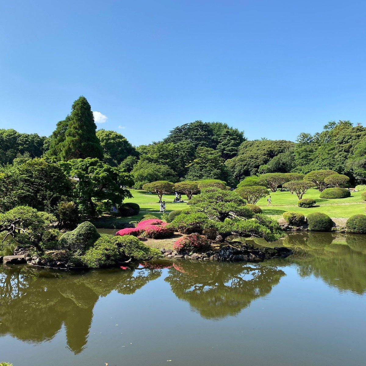 shinjuku-gyoen-national-garden-all-you-need-to-know-before-you-go