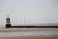 Crosby Beach - All You Need to Know BEFORE You Go (2024)