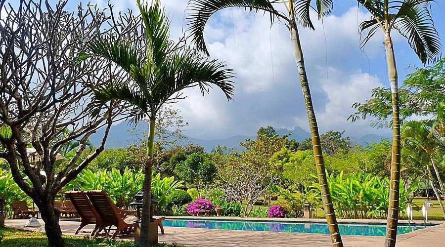 Lovely garden and swimmingpool at the Muang Pai resort. This "resort" is not a recommendation because the rooms are very basic, situated in the middle of nowhere and I got very very sick of the food here in the restaurant.