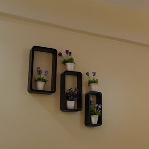 Room rent 100