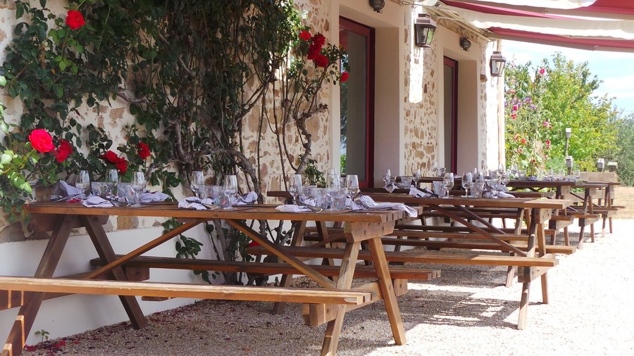 Terrasse face aux vignes, exposée plein sud 