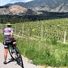 Epic Cycling Wine Adventures