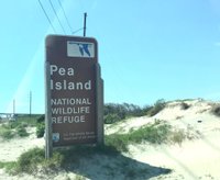 Pea Island National Wildlife Refuge (Rodanthe) - All You Need to Know ...