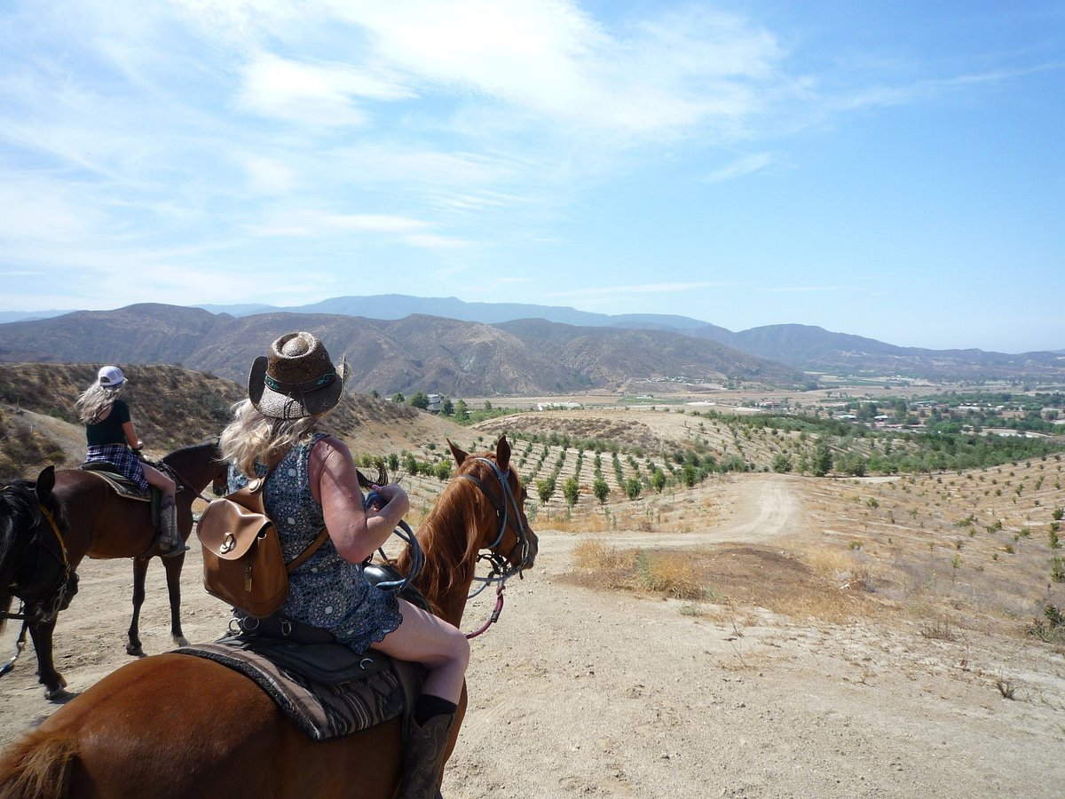 saddle up wine tours temecula