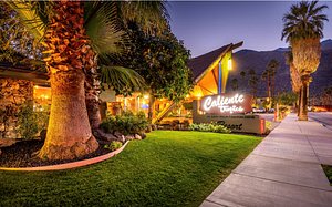 Caliente Tropics Resort in Palm Springs, image may contain: Hotel, Resort, Villa, Backyard