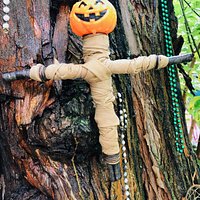 One of thousands of offerings that have been left at the Witches' Tree over the years