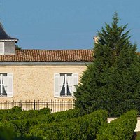 Nos vignes.