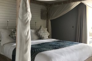 Room & Suite