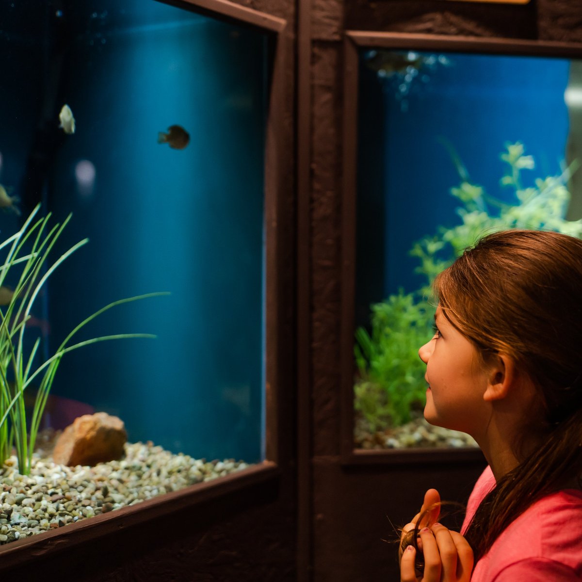 Medicine Park Aquarium and Natural Sciences Center - All You Need to ...