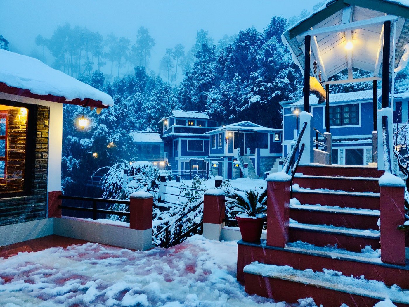 BINSAR ECO CAMP & COTTAGES - Updated 2024 Prices & Campground Reviews (India)