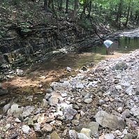 Roark Creek Waterfall Hike