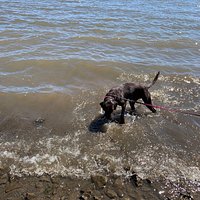 Nyack Beach State Park - All You Need to Know BEFORE You Go