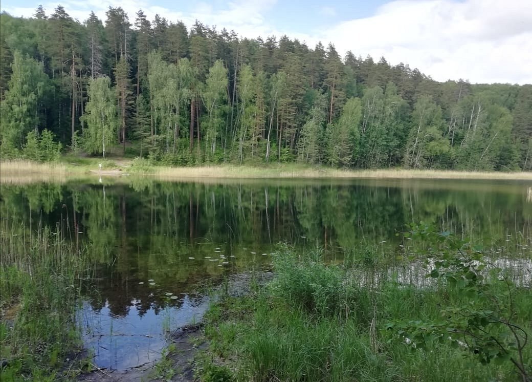 Мэриленд марий эл. Марий Чодра. Марий Чодра водка. Кюрсола Марий Эл.