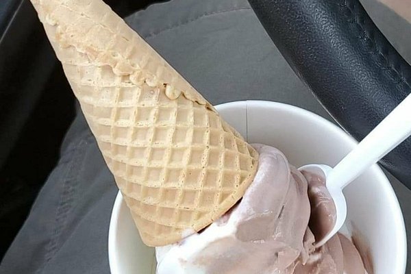 14 Shops That Serve The Best Ice Cream In Maine
