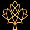Experience Toronto Tours