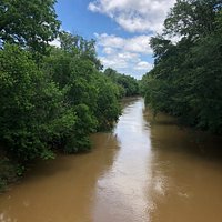 Etowah River Park (Canton) - All You Need to Know BEFORE You Go