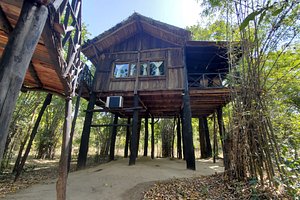 PUGDUNDEE SAFARIS TREE HOUSE HIDEAWAY - Updated 2024 Prices & Specialty  Hotel Reviews (Bandhavgarh National Park, India)