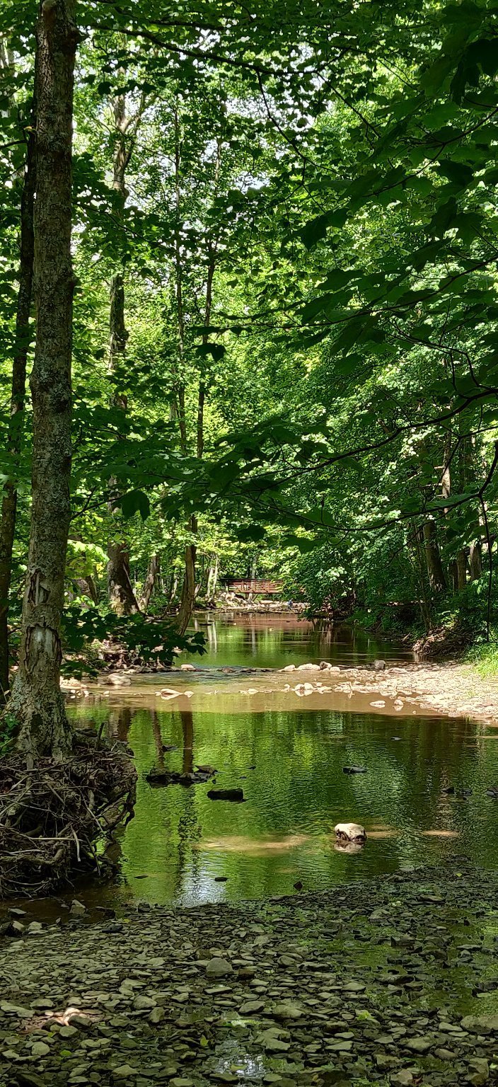 Mingo Creek County Park (Finleyville) - All You Need to Know BEFORE You Go