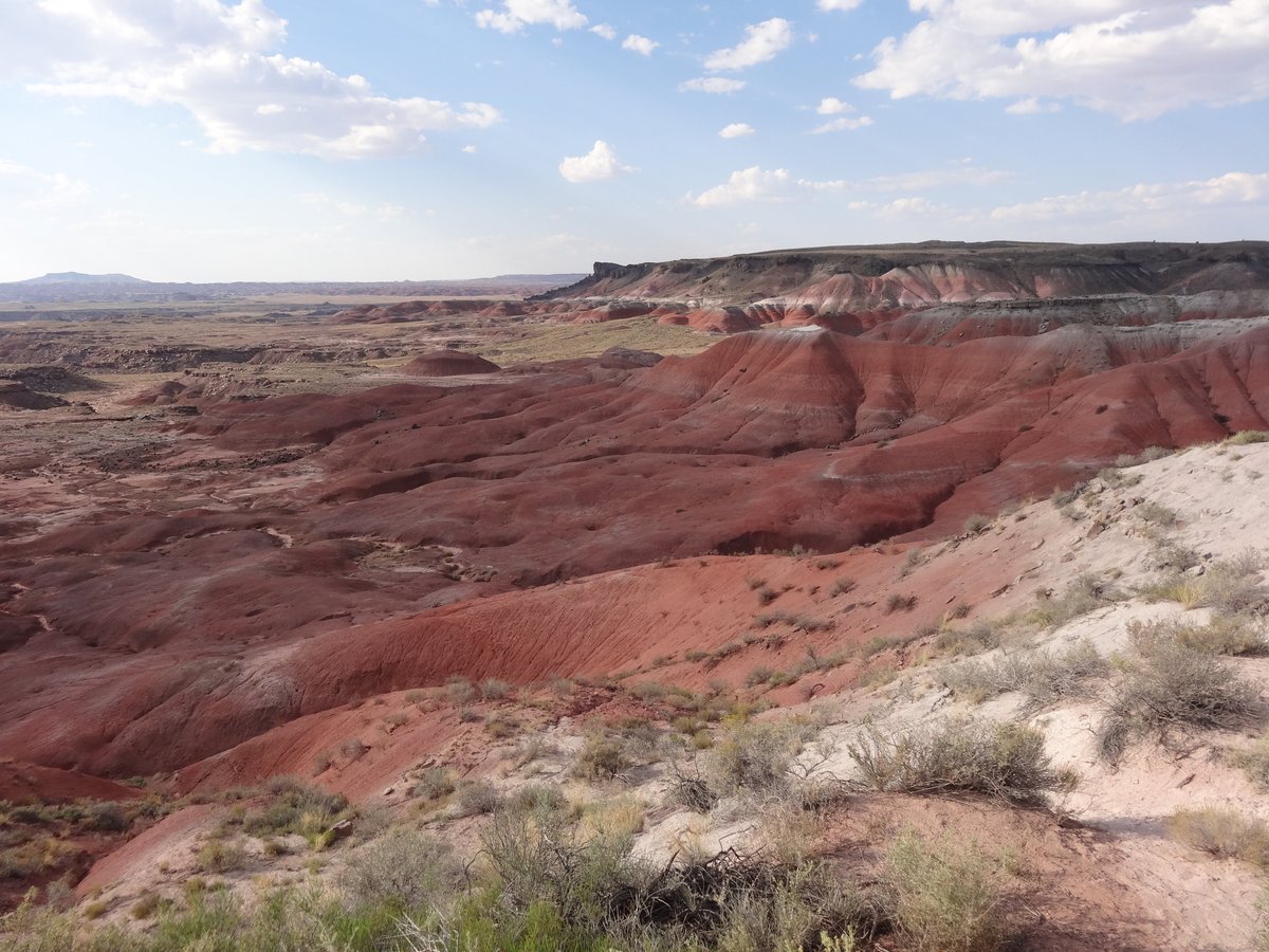 THE 10 BEST Things to Do in Petrified Forest National Park - UPDATED ...