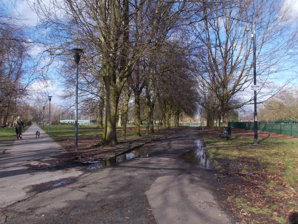 THE 10 BEST Parks & Nature Attractions in Warrington (Updated 2025)