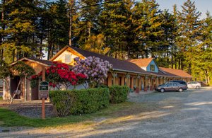 B.Side Motel & RV in Bandon, image may contain: Hotel, Resort, Tree, Car