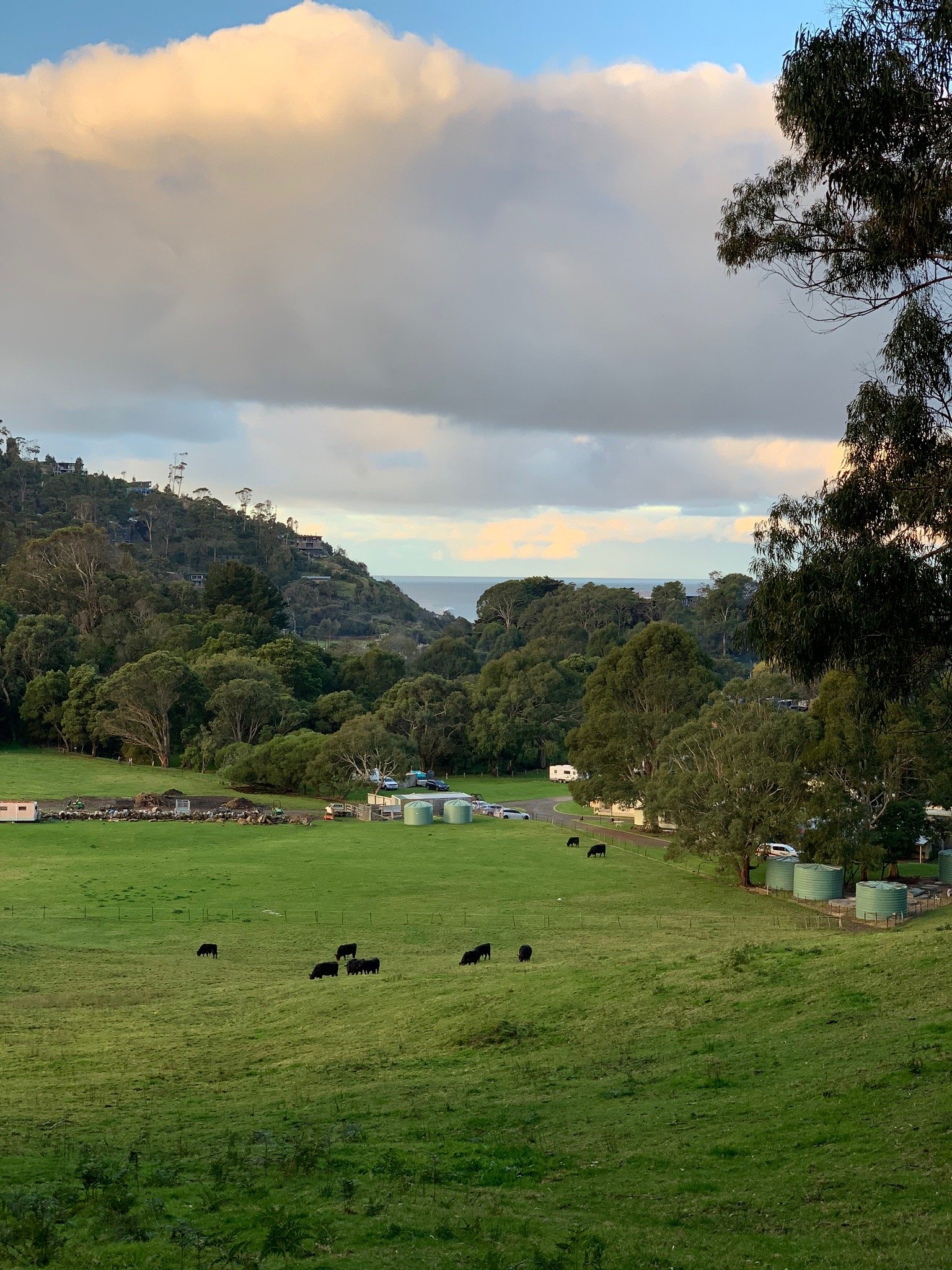 BIG4 WYE RIVER HOLIDAY PARK - Updated 2024 Prices & Campground Reviews ...