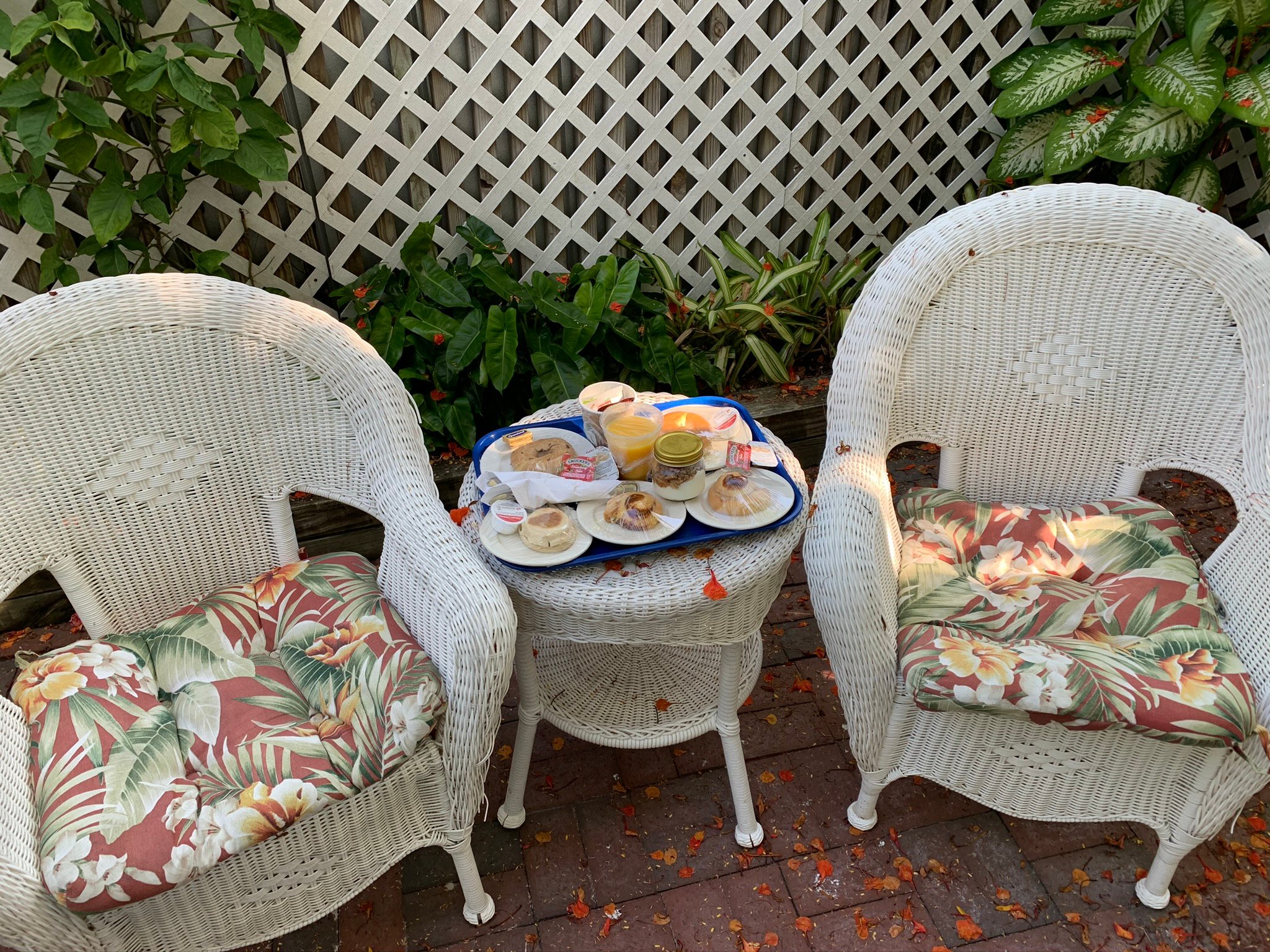 GARDEN HOUSE B&B (Key West, Florida): Prezzi E Recensioni (2024)