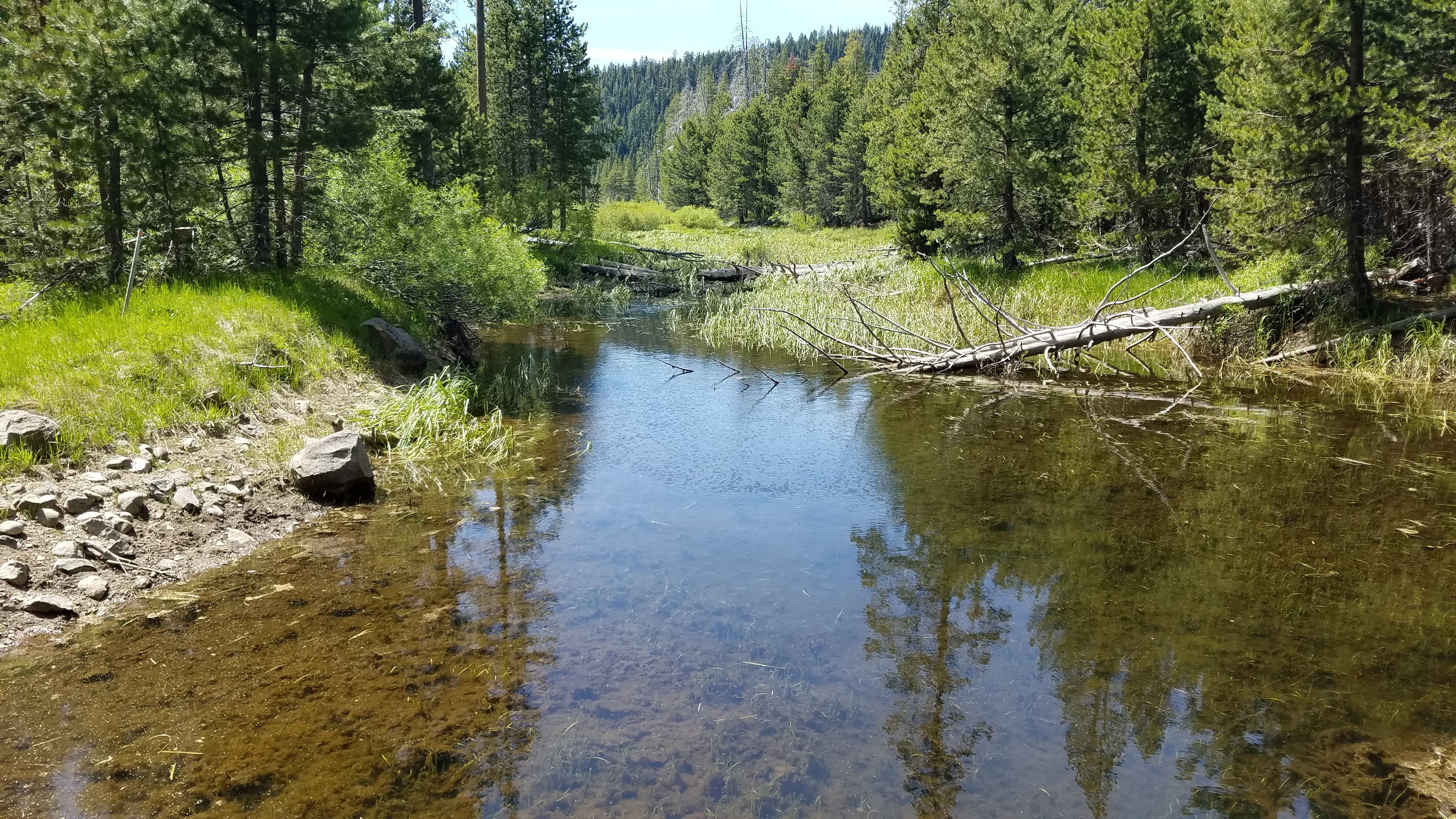 Burton Creek State Park Tahoe City Your Guide BEFORE You Go