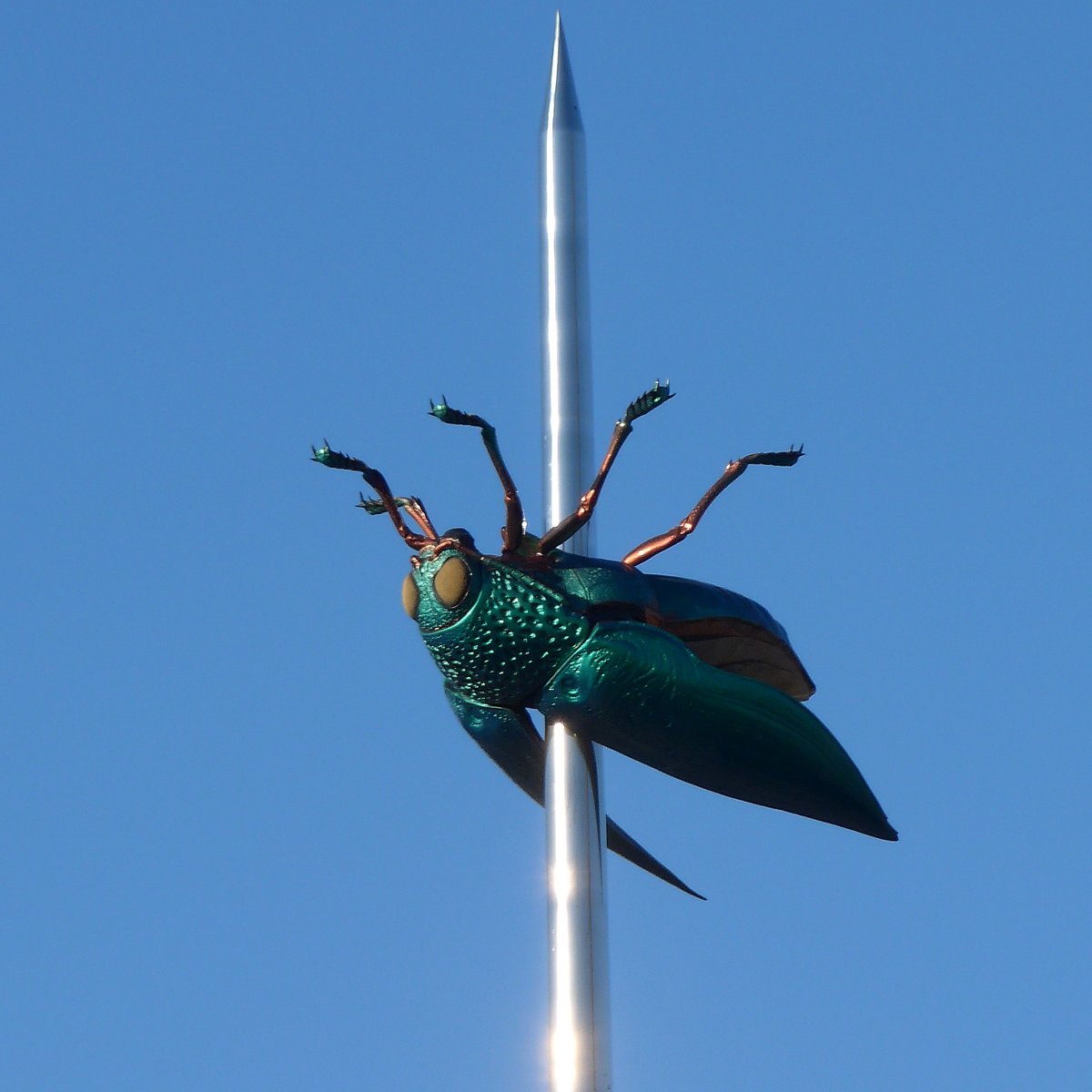JAN FABRE'S BEETLE TOTEM (Leuven) - All You Need to Know BEFORE You Go