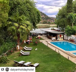 The garden and the pool