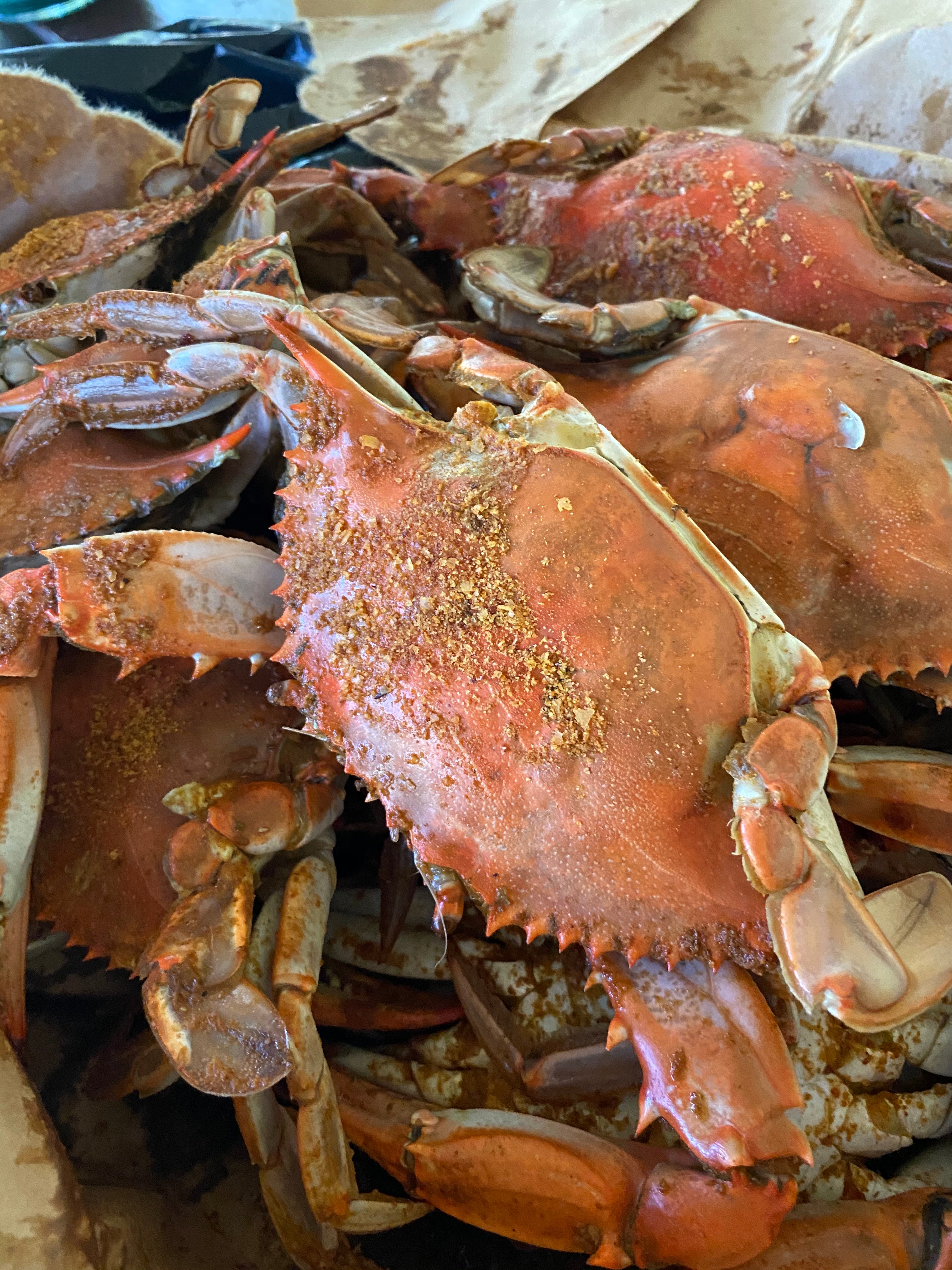 Bloughs seafood discount
