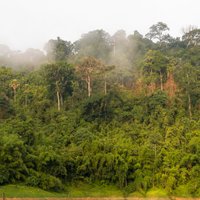 Khao Sok National Park (Surat Thani) - All You Need to Know BEFORE You Go