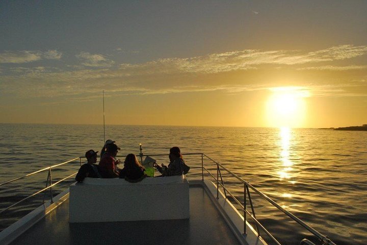 catamaran cruise hermanus