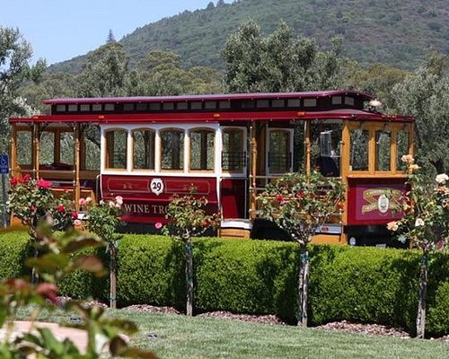 sonoma valley wine tours from san francisco