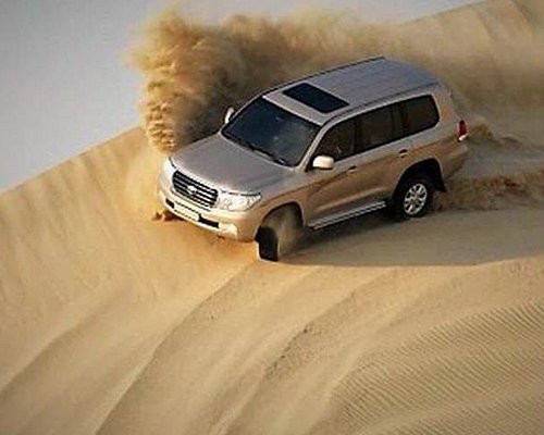 desert tiger tourism