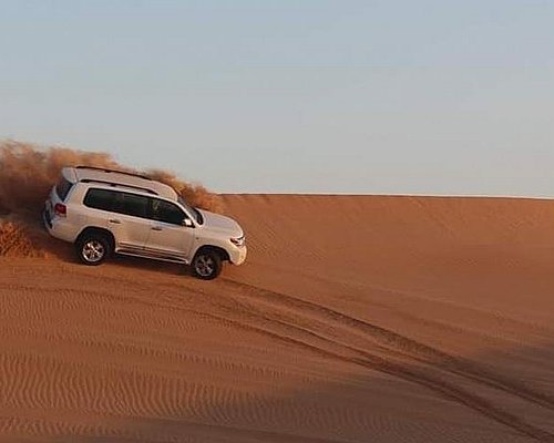 desert tiger tourism
