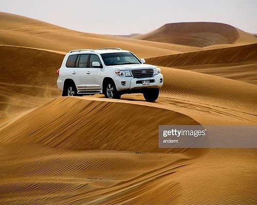 desert tiger tourism