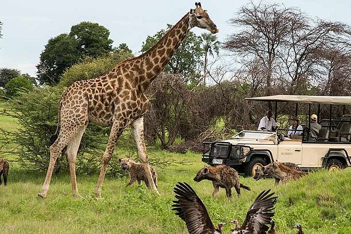 inverdoorn safari cape town