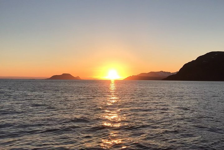 The Midnight Sun Explained - What is it - Where to see it - Fjord Tours