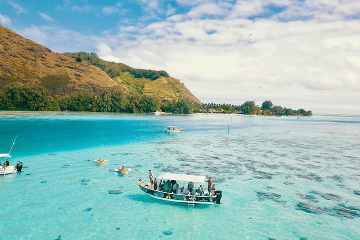 2023 Unforgettable lagoon tour around Moorea