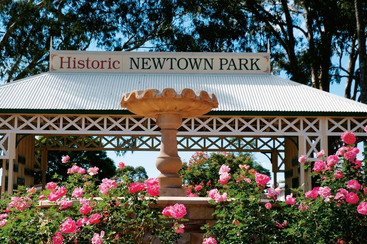 Newtown Park Queensland State Rose Garden Toowoomba 2022 Alles   Newtown Park Is Home 