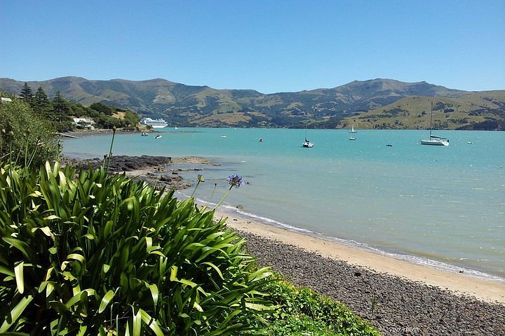 2024 Akaroa To Christchurch Full Day Private Excursion Tripadvisor