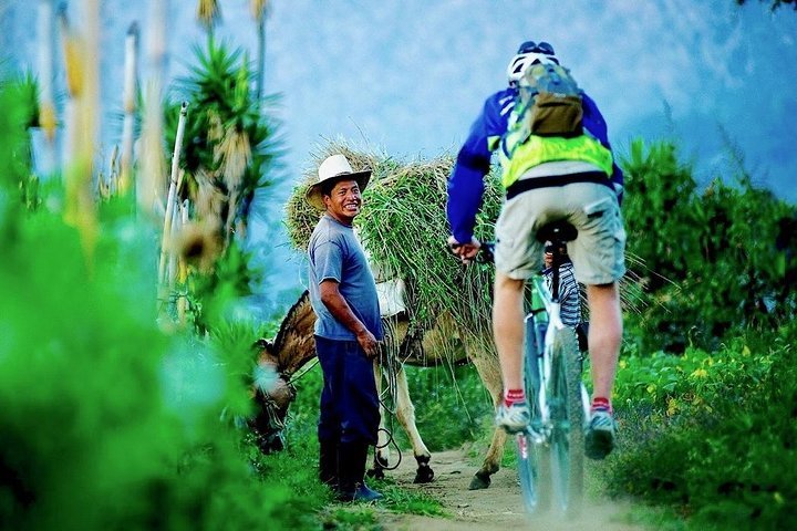 Venta de bicicletas antiguas en online guatemala