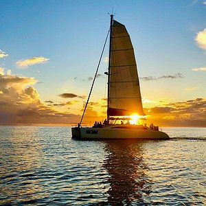 sweet liberty catamaran sailing & boat tours naples fl