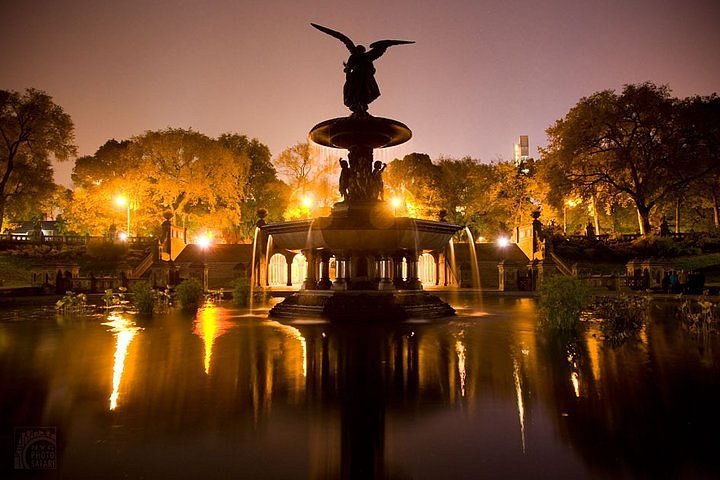 park fountain at night