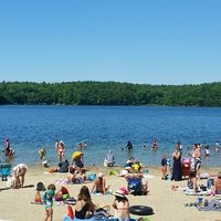 WALDEN POND STATE RESERVATION (Concord) - 2022 All You Need to Know ...