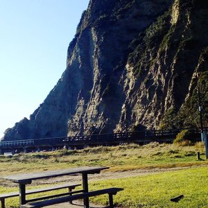 Allow 20 minutes to walk to the end of New Zealand's longest wharf and back. At 660 metres in length, this is no ordinary  wharf because it's part of history,  The opening of Tolaga Bay Wharf in 1929 made it possible for large coastal trading ships to load and offload goods. 