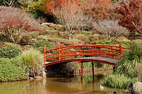 are dogs allowed in the japanese gardens toowoomba