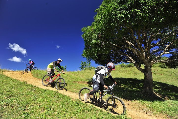2023 Full-Day Cebu Mountain Biking Tour
